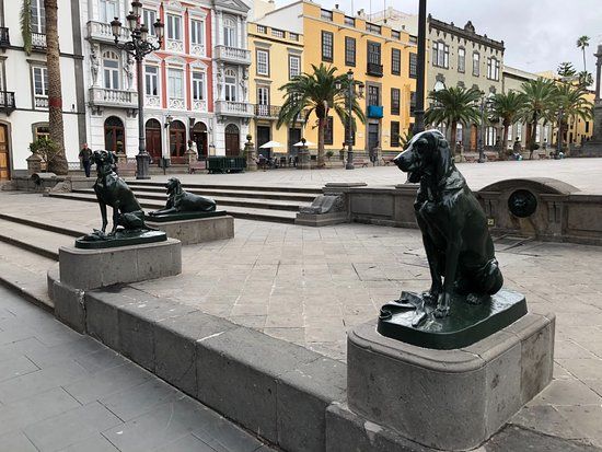 Los Perros de La Plaza de Santa Ana